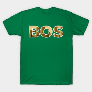 Boston Celtics Skyline T-Shirt